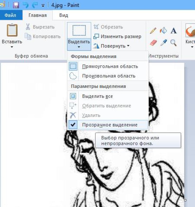 Как вырезать картинку без фона в paint